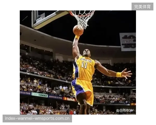 NBA球星抛投命中稳如老狗——探秘篮球场上的“稳如泰山”技能